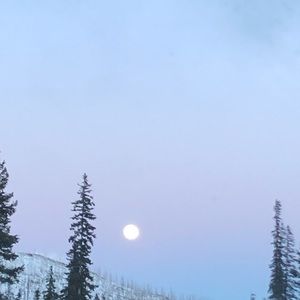 Meet your Posher, Susanna